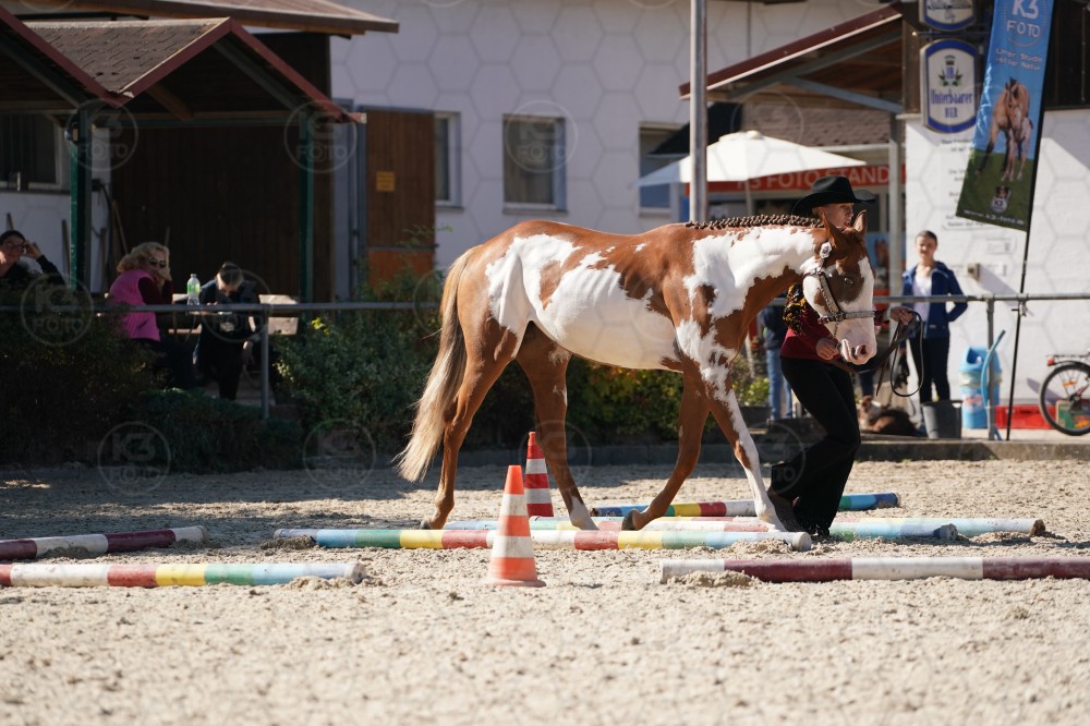 s_A_907479.JPG